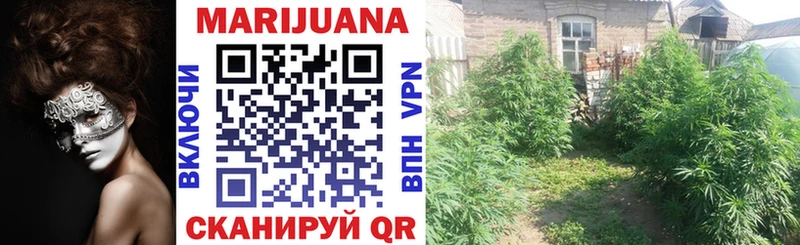МАРИХУАНА Bruce Banner  Купино 